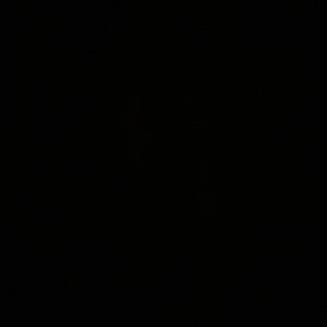 Meet your Posher, Julian